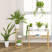 Bamboo Shelf Indoor, 2 Tier Window Tall Stand Table for Multiple Plants 2