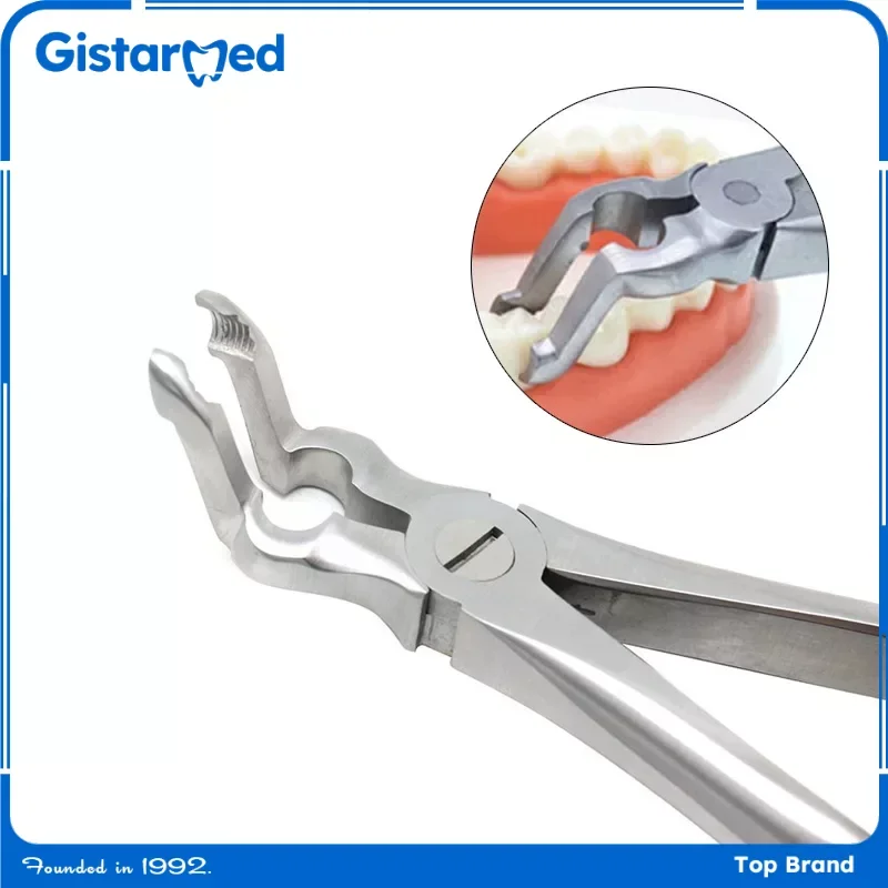 GISTARDentalForcepsWisdomToothExtractionForcepsDental