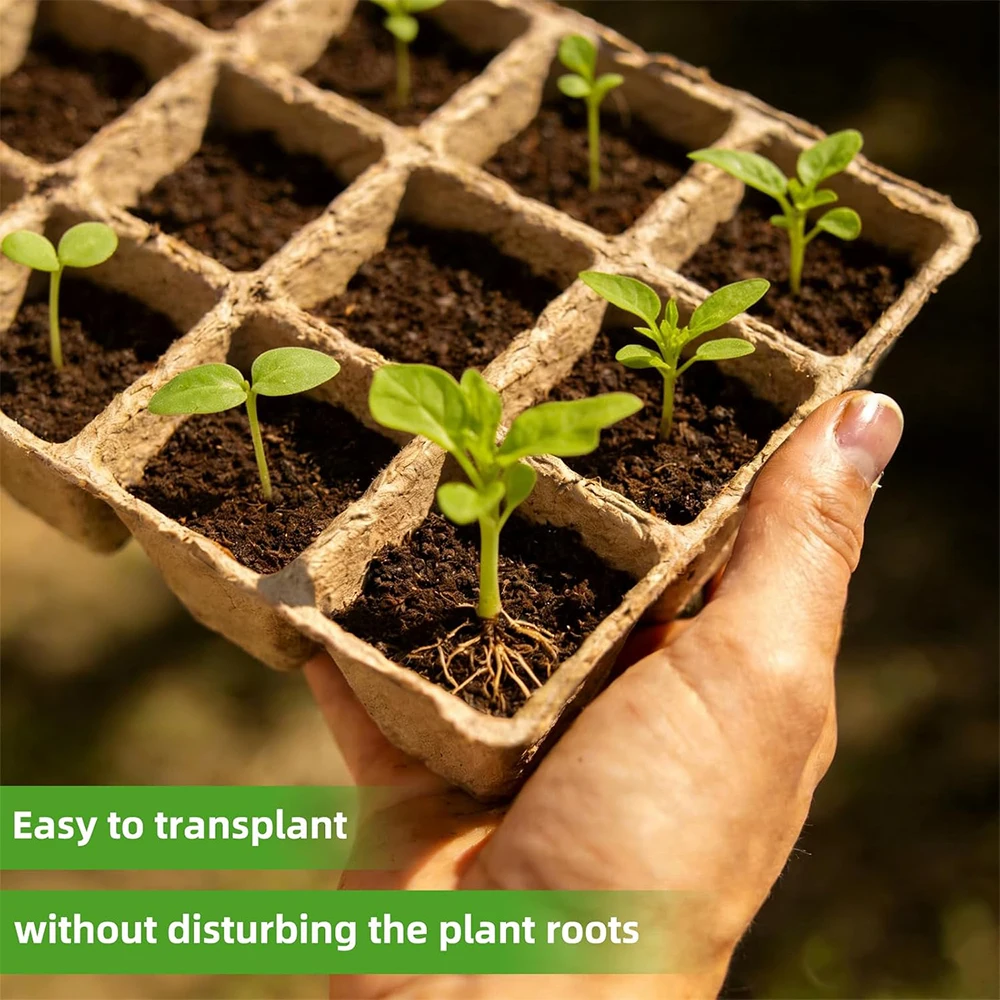 Biodegradable 300-Cell Seed Starter Kit with Domed Germination Trays