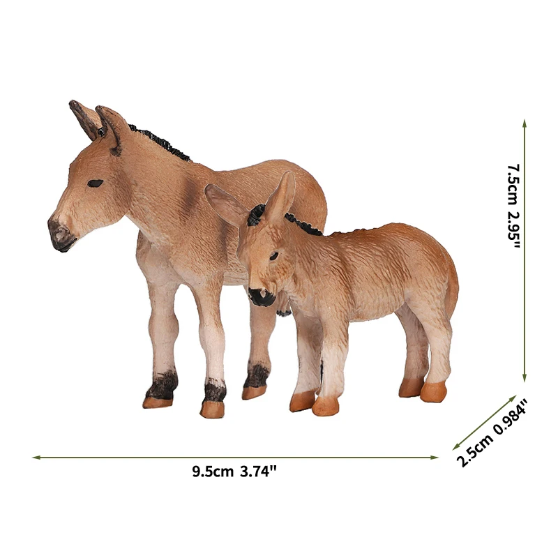 Donkey