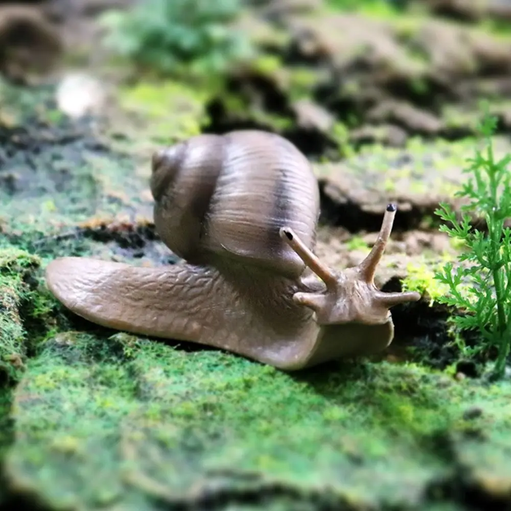 Teaching Tool Desktop Ornament Decor Garden Decor Snail Statue for Fairy Garden Snail Figurine Toy Mini Animal Figures