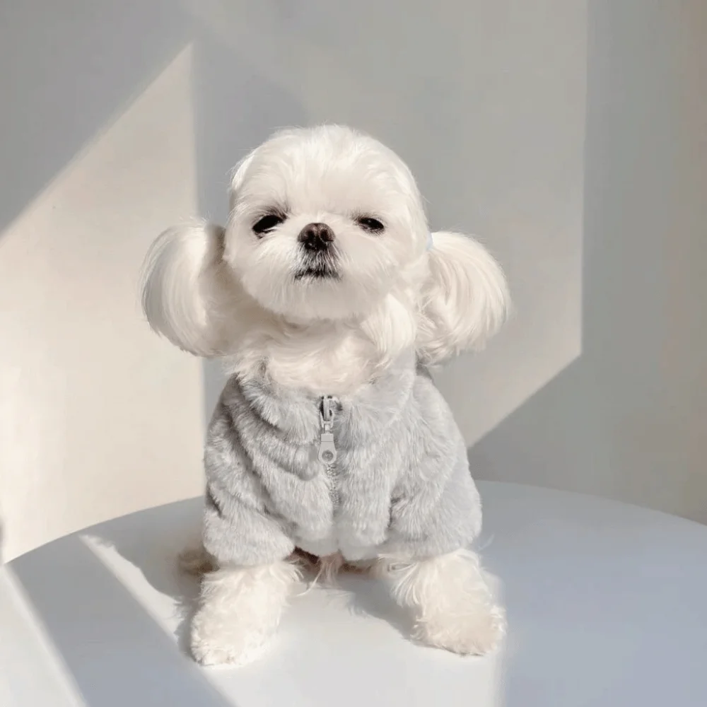 Fashion Rabbit Fur Dog Warm Coat Soft Comfortable Pet Plush Jackets Thickened Dog Costume Daily Wear