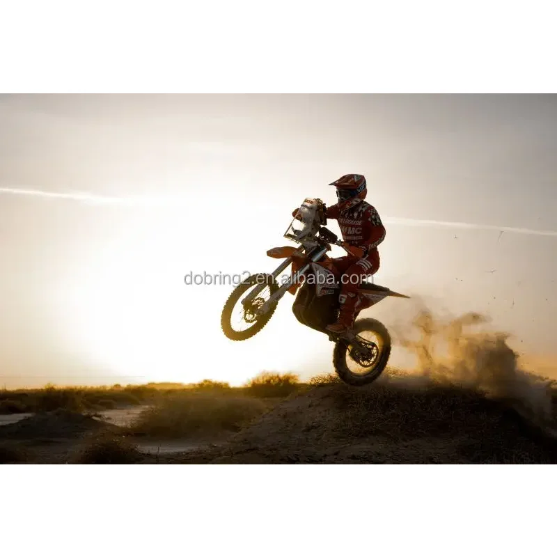 2025 Arctic Leopard E-X 800 800Nm Electric Motorcycle Powerful Mountain Bike Genre 115km/h - Image 6