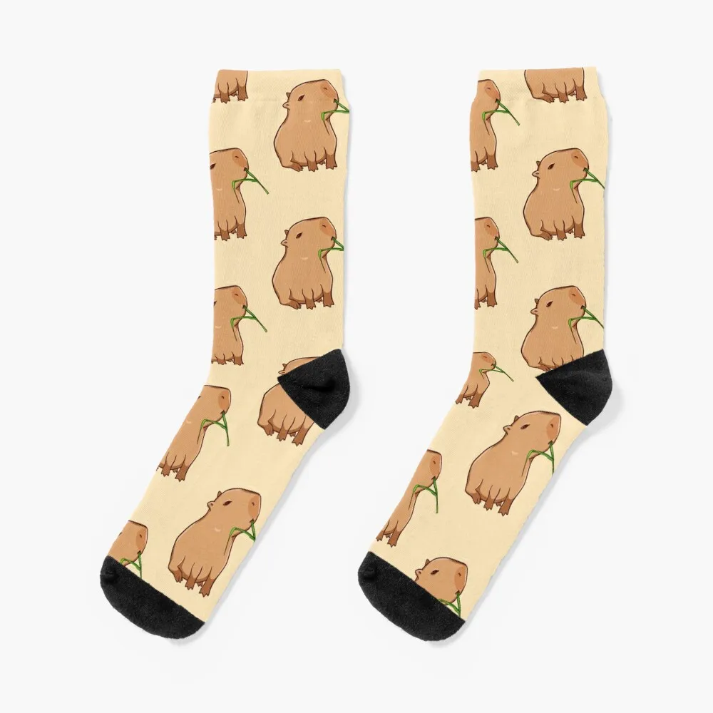 Capybara with a leaf, eat your greens! Socks New year's short Socks Woman Men's