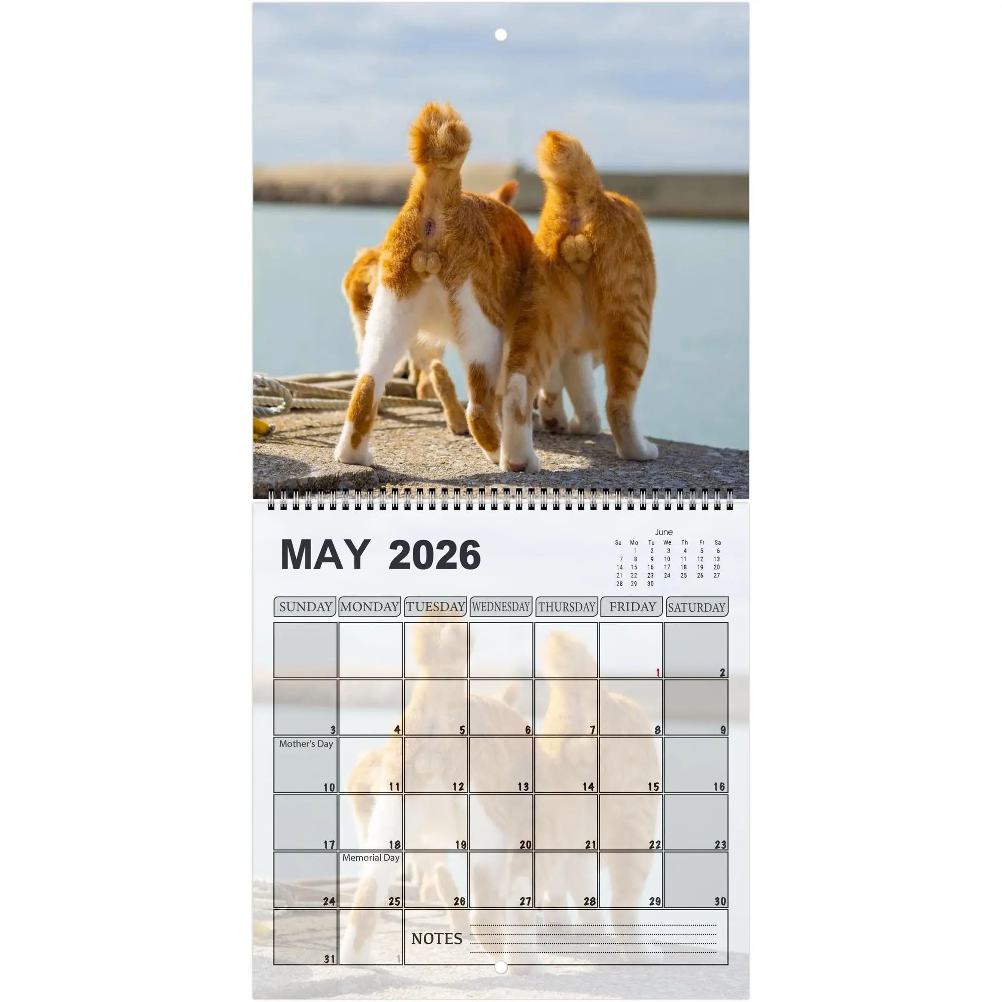 2026 Cute Cat Calendar - Monthly & Daily Planner with Adorable Frog-Eyed Kitten Design Perfect Gift for New Year Halloween