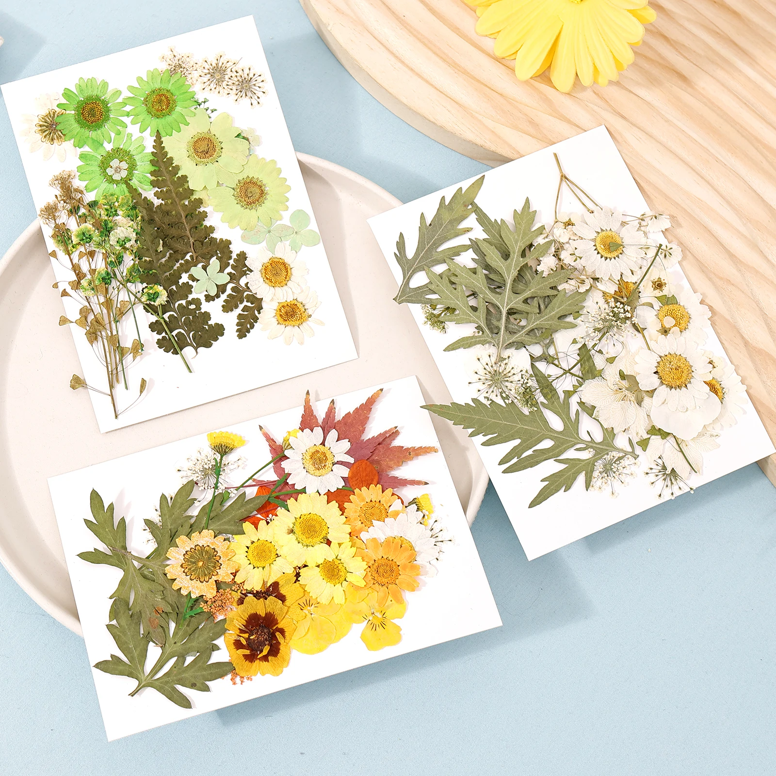 Fiori Secchi Naturali Per Fai Da Te - Set Per Resina, Scrapbooking E Decorazioni - Foto 9