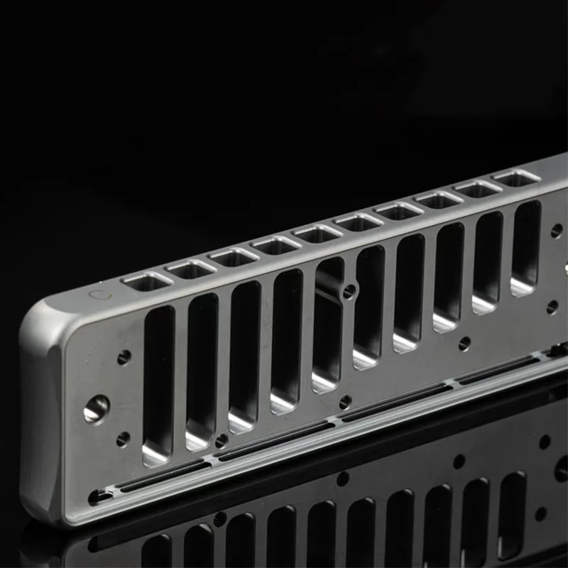 Diatonic Harmonica 10 Holes Blues Musical Instrument diatonic harmonica