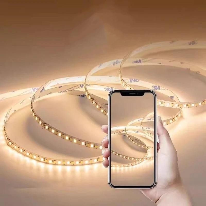 16.5FT 5M 24V Flow LED Strip Track Light waterproof DC24 SMD2835 For Outdoor Flexible Linear Strip Decorative Backlit Neon Light 5
