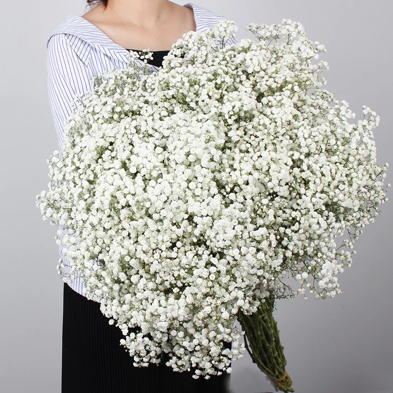 

Gypsophile Real Dried Flowers Preserved Baby's Breath Flower Bouquets Gift for Wedding Party Decoration Mariage Flores