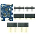 D1 MINI Pro 16M