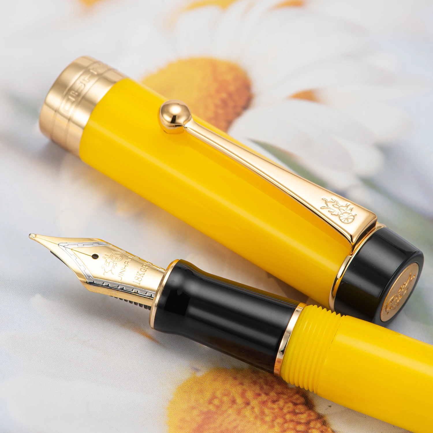 Dobrado Nib com Caneta de Tinta do dobrado nib com caneta de tinta 03