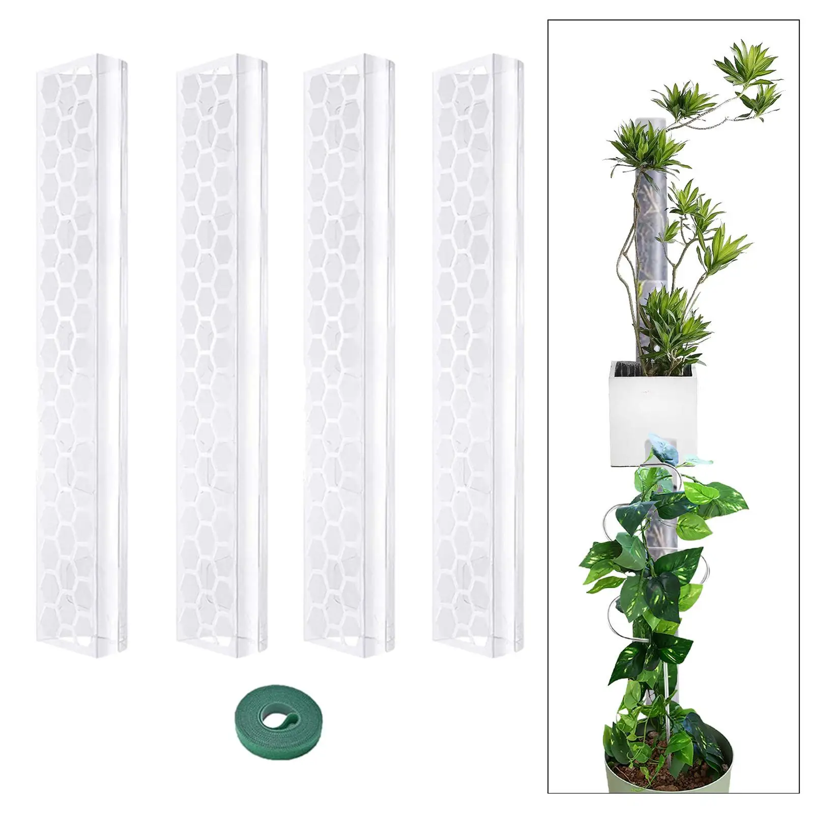 Mosses Pole Set for Plants Clear for Plant Climbing and Growth Indoor Plants