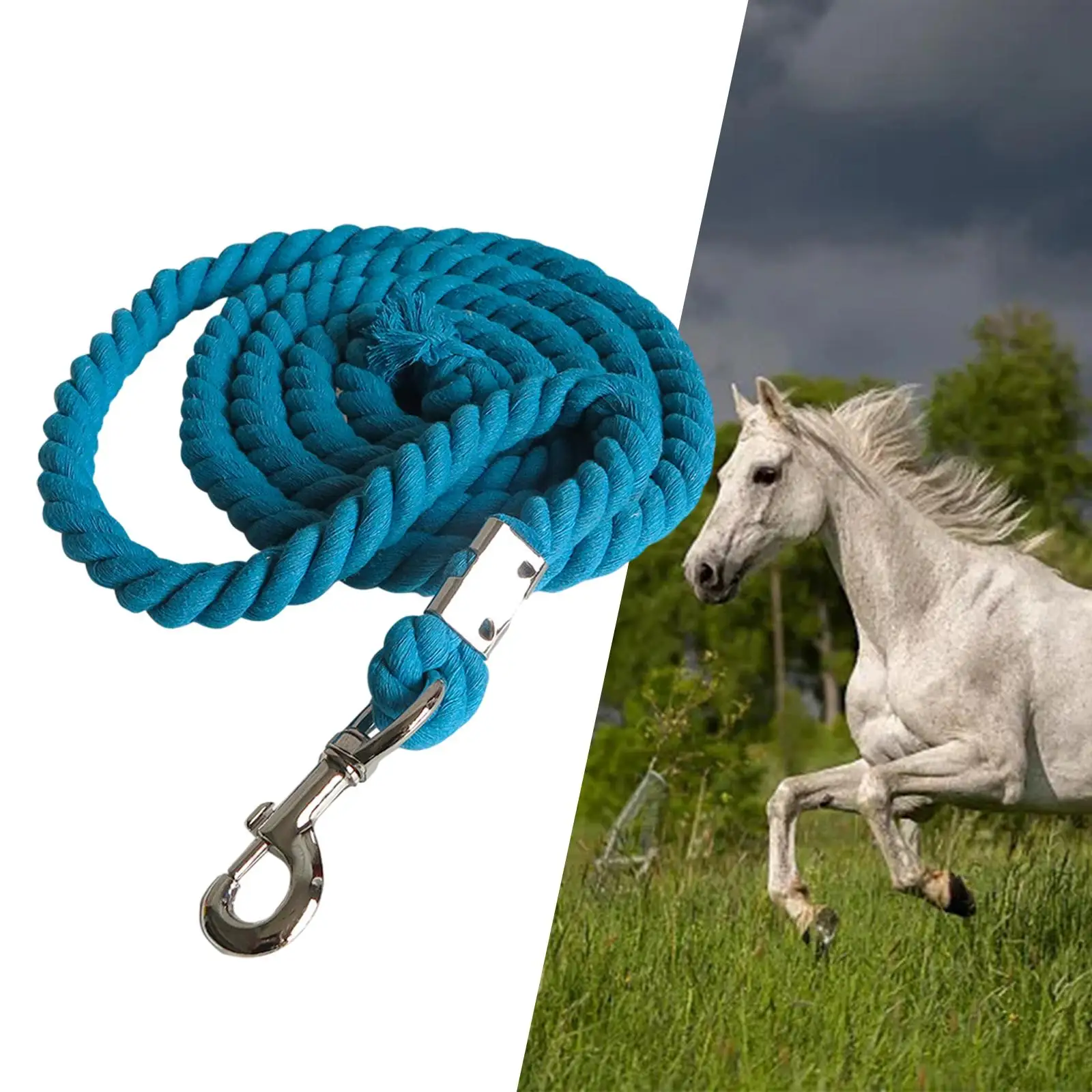 Webbing Horse Lead Rope Practical Heavy Duty Accessory for Livestock Bolt Snap Clip Swivel Buckle Equestrian Rein Racing Halters