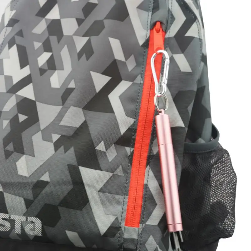 Metal Straw Reusable Telescopic Straw with Cleaning Brush Carry Case Collapsible Portable Drinking Set