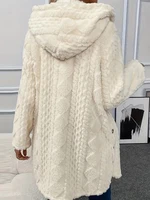 Thickened Plush Button Hooded Women's Cardigan Solid Color Long Sleeved Warm Sweaters Fashion Single-breasted Woman Clothing - Image 6