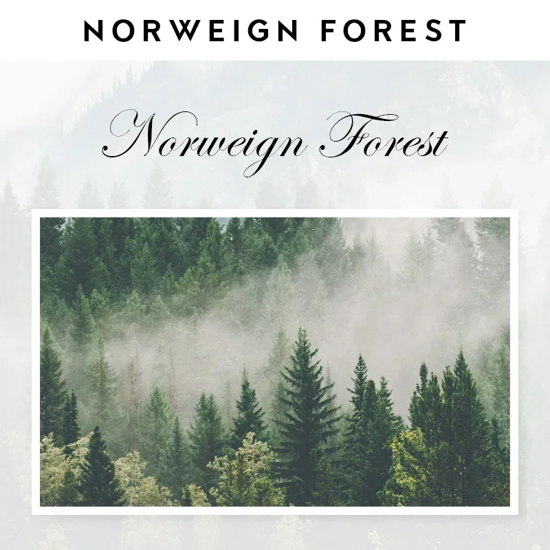 Norweign Forest