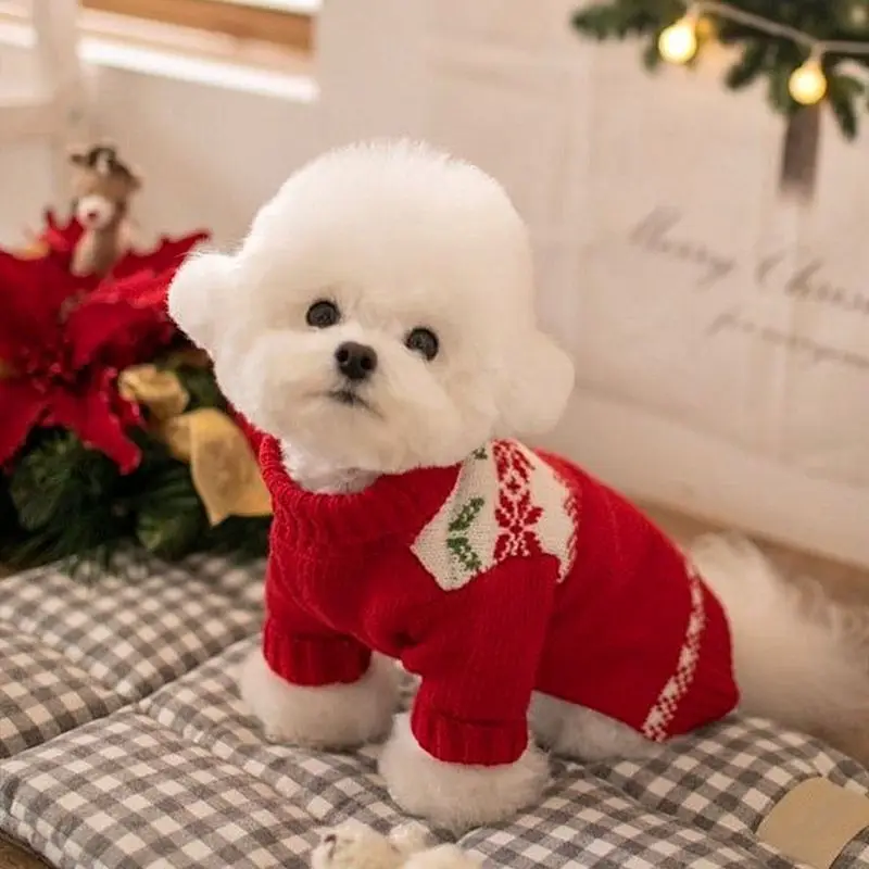 Maglione Lavorato A Maglia Per Cani Di Natale Vip Schnauzer Teddy Bears Pomeranian Small Dog Pet Cat Vestiti Autunnali