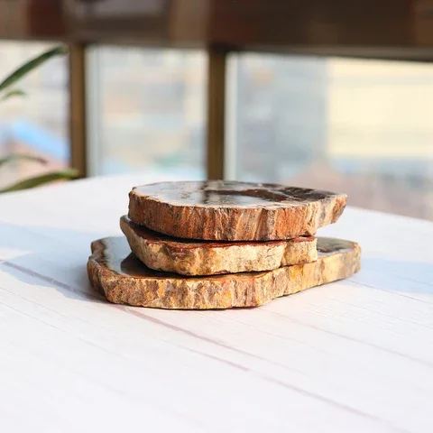 

1pc Natural Fossil And Minerals Woodstone Wood Fossil Tree For Home Decoration Wooden Tree Fossil Cup Cushion Stone Coaster
