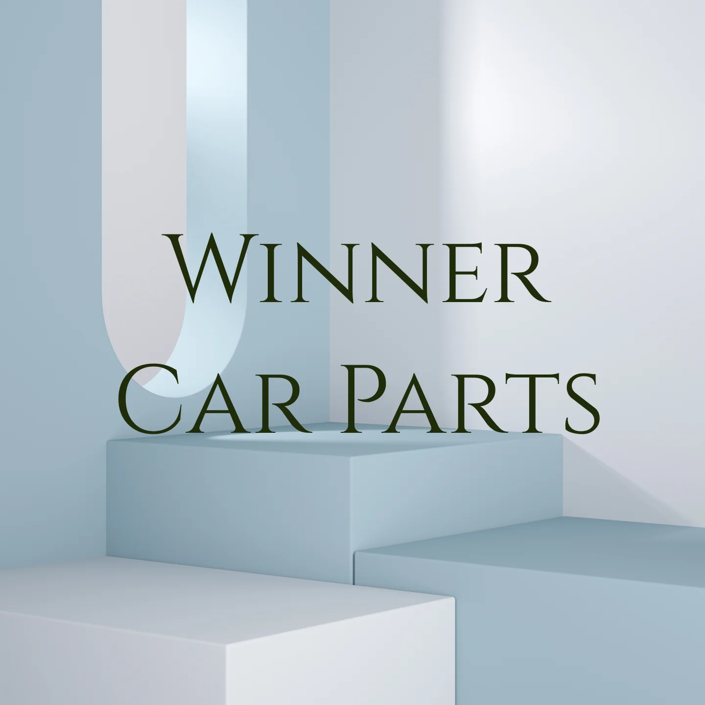 Winner Car Parts Store