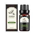 JASMINE