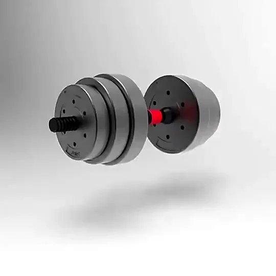 SPN-s Adjustable Dumbbell Set - 20 kg Home Gym Equipment | 2 In 1 Extendable Rod Dumbbell Set | Home Gym Accessories