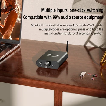 Docreate YS-T100W TPA3116 Bluetooth 5.3 Mono Amp with APP Control 12-24V Boost Mini Audio Amplifier For Outdoor PC Subwoofer US 4