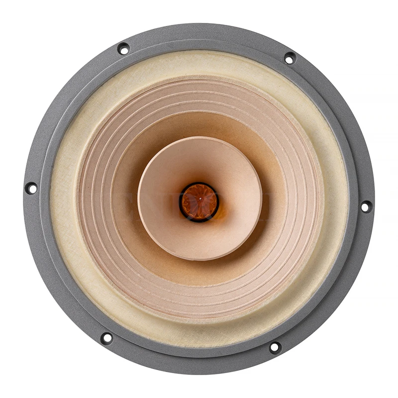 Ls-01 Fast-10 Altoparlante Full Range Da 10 Pollici 25W-50W/8Ohm/Lii Audio Fast-10/Crystal-10 Full/Crystal-10/Music-10 (1 Paio)