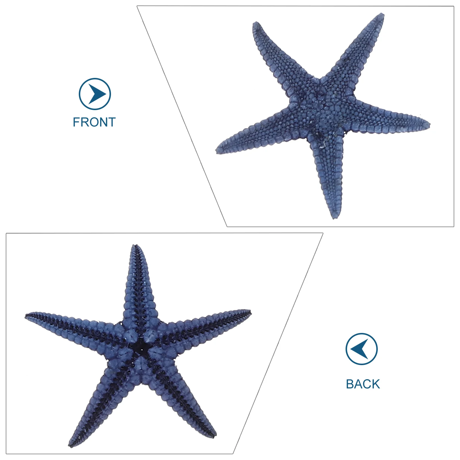 100 Pcs Vases Decor for Fish Tank Filling Exquisite Star Natural Desktop Adorn Aquarium 2