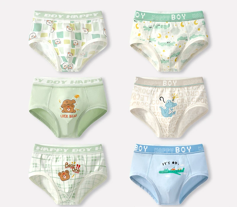 6PCS Boys Panties