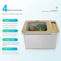220V Powerful Vegetable Washer and Purifier - Removing Residual Pesticides and Bacteria from Your Food 2