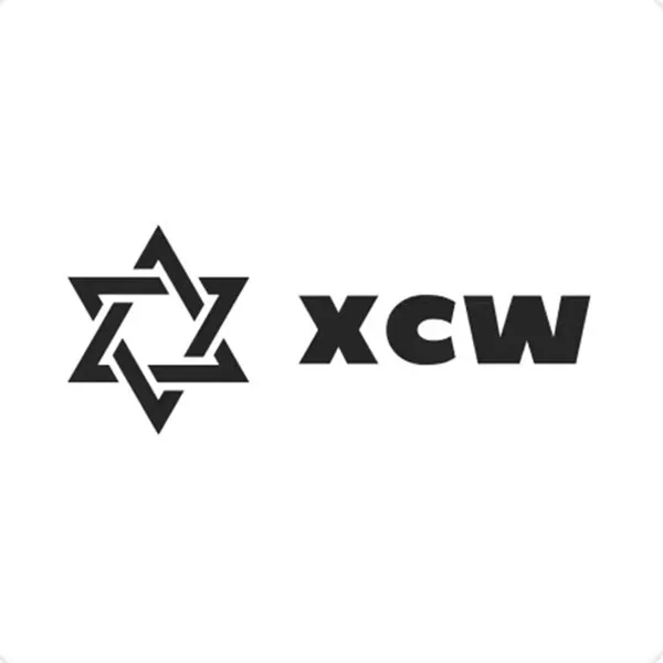 XinChuangWei Store