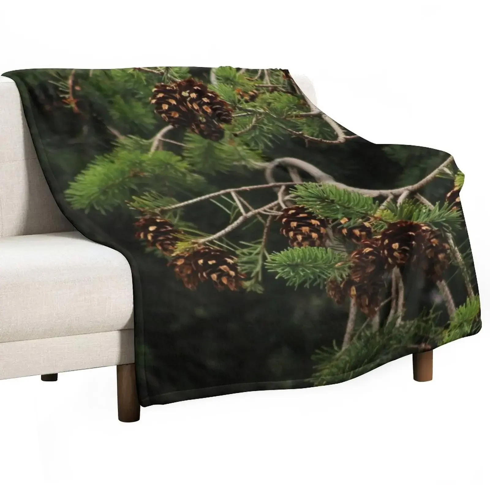 

Douglas Fir Pinecones II Throw Blanket Thins Decoratives Soft Beds Luxury Thicken Blankets