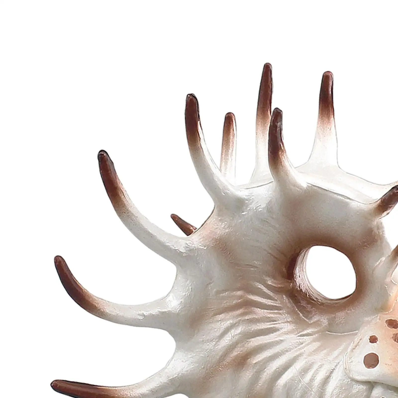 Sea Animal Figurine Model Collection Nautilus Model for Teens Kids Boy