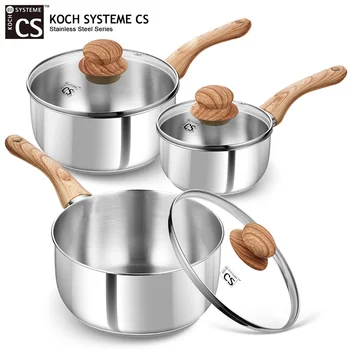 Stainless Steel Saucepan 1