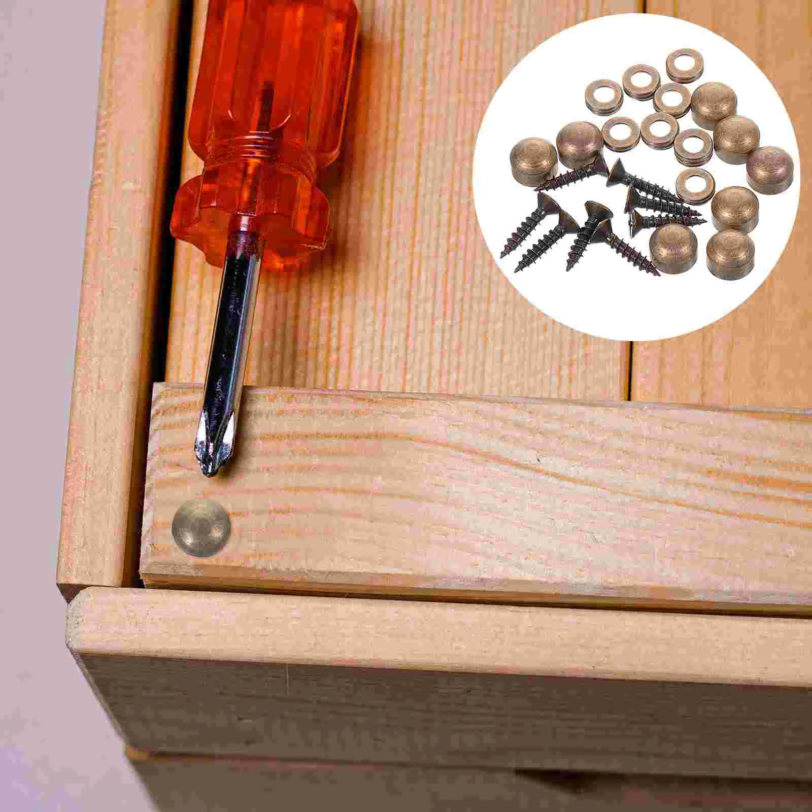 

Decorative Screw Self-Tapping Mirror Fixing Screw Fastener with Cap Wardrobe Cabinet Home Decor Drilling Furniture