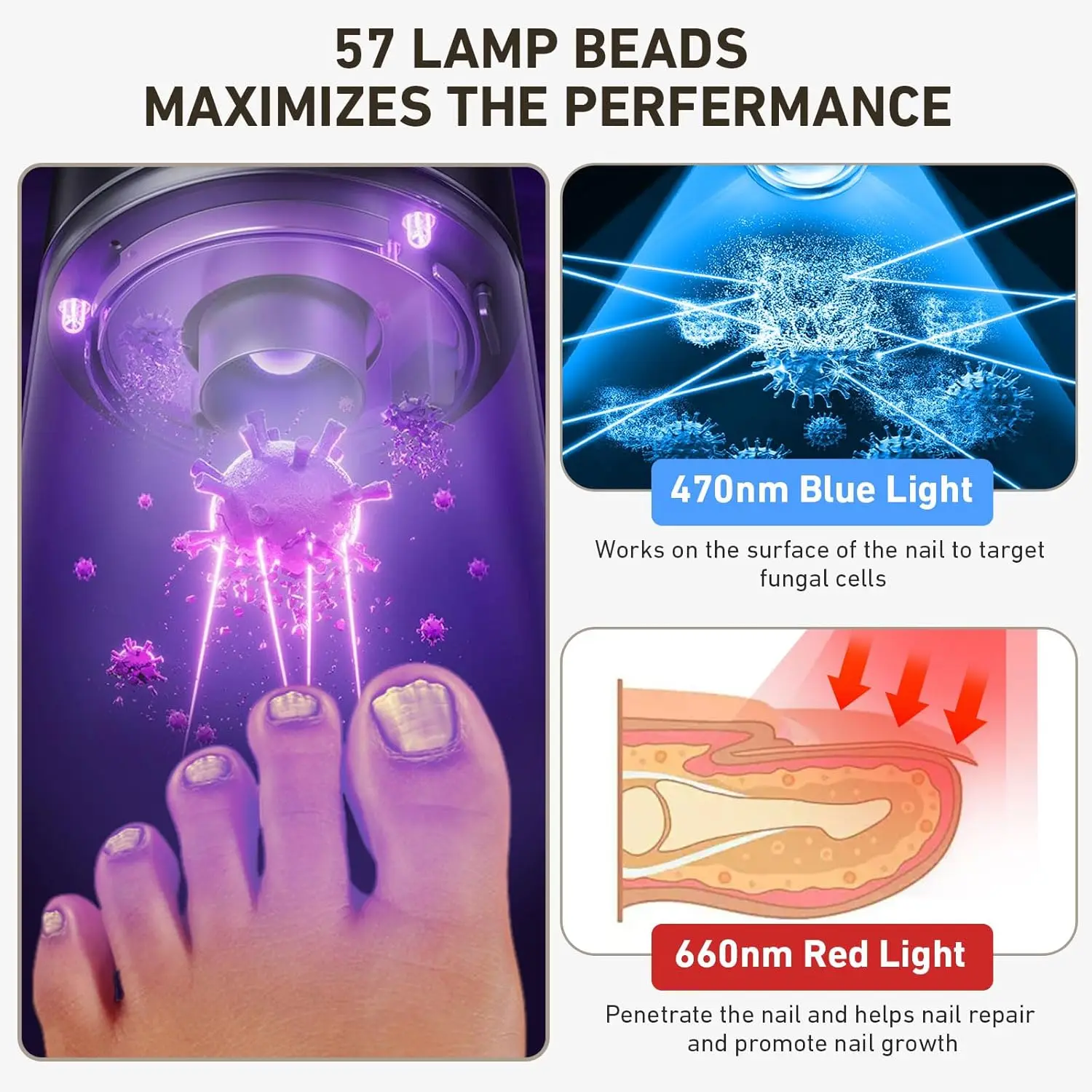 20W Nail Fungus Laser Treatment Device for Toes 470nm Blue Light+650nm Red Light Repair Toenail Fingernail Fungus TreatNail Salo