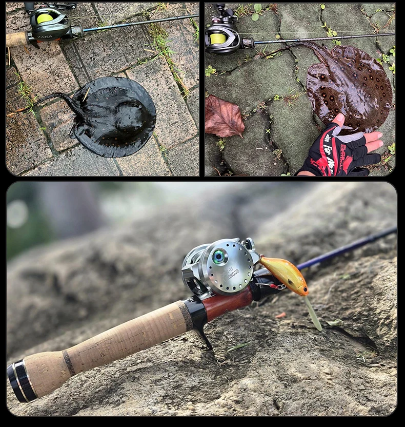 PURELURE Forellenrute BFS Angeln Casting Spinning Light Travel Rod Stream Ejection Rod Fuji Alconite Ring Barsch – Detail 19