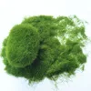 Simulation Moss/Grass Powder 3MM/5MM  Nylon Static Planting Flocking Powder Sand Table Landscape Materials 30g/Bag 5