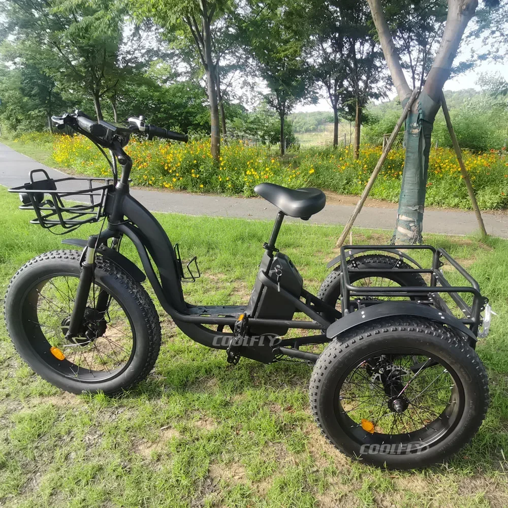 High Power Tricycles Family Cargo Lithium Battery Three Wheel Electric Bicycle 48v 750w 1000w e Bike for Sale