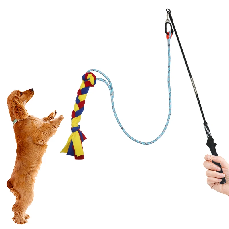 Jouets de chasse pour animaux de compagnie, jouets interactifs pour chiens,  équipement d'entraînement d'agilité pour chiens, nouveaux jouets portables  avec télécommande - AliExpress