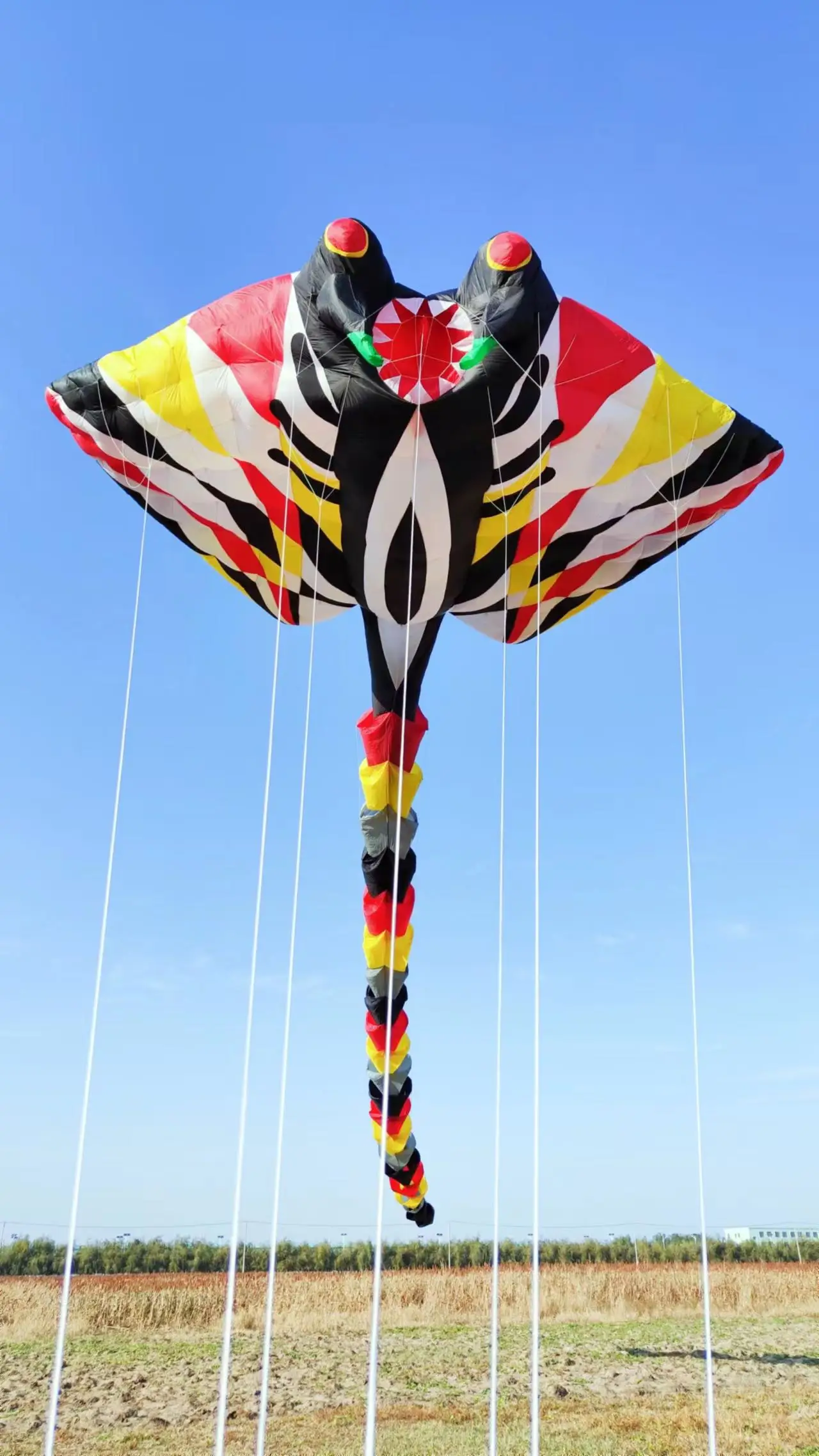 12m ray kite large kites ripstop cerf volant vlieger big kites for