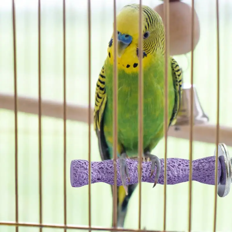 Bird Calcium Grinding Perch 5