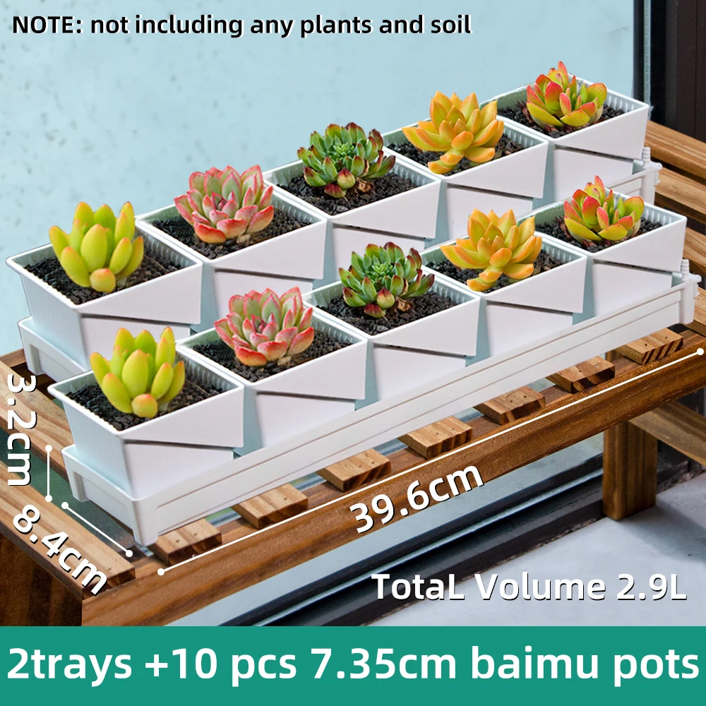 2trays  10pcs 7.35cm
