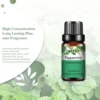 PHATOIL Pure Aromatherapy Essential Oil (10ml) 4