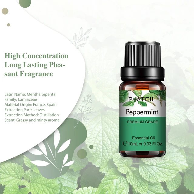 PHATOIL Pure Aromatherapy Essential Oil (10ml) 4