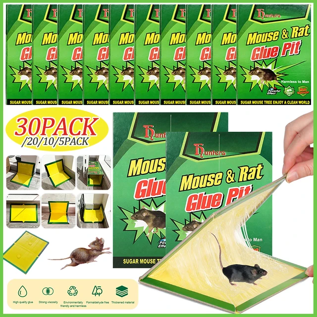 Piège à Colle pour Souris et Rat, Haute Efficacité, Attrape-Insectes, Lutte  Antiparasitaire, 5 à 1 Pièces - AliExpress