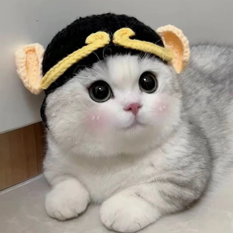 Sc03c7076f5da4326af392b7946063498u