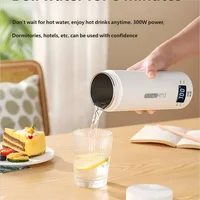 Bouilloire électrique portable HOMEFISH 450 ml pour thé et café, tasse thermique de voyage, bouteille d'eau anti-brûlure, menu en anglais 4