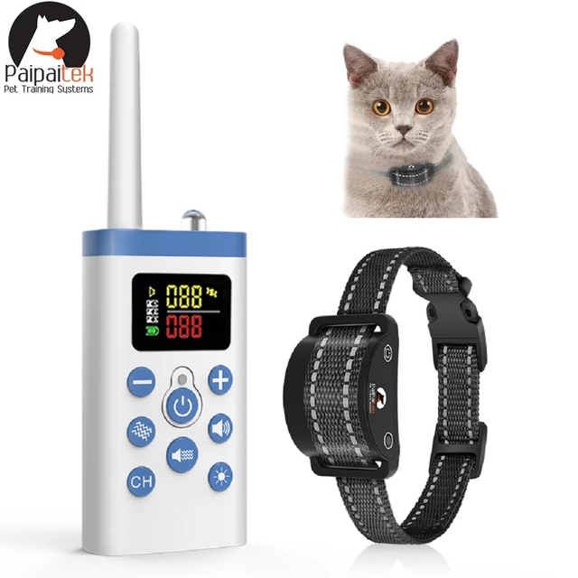 Cat Collar Camera - Colliers Et Laisses Pour Chats - AliExpress