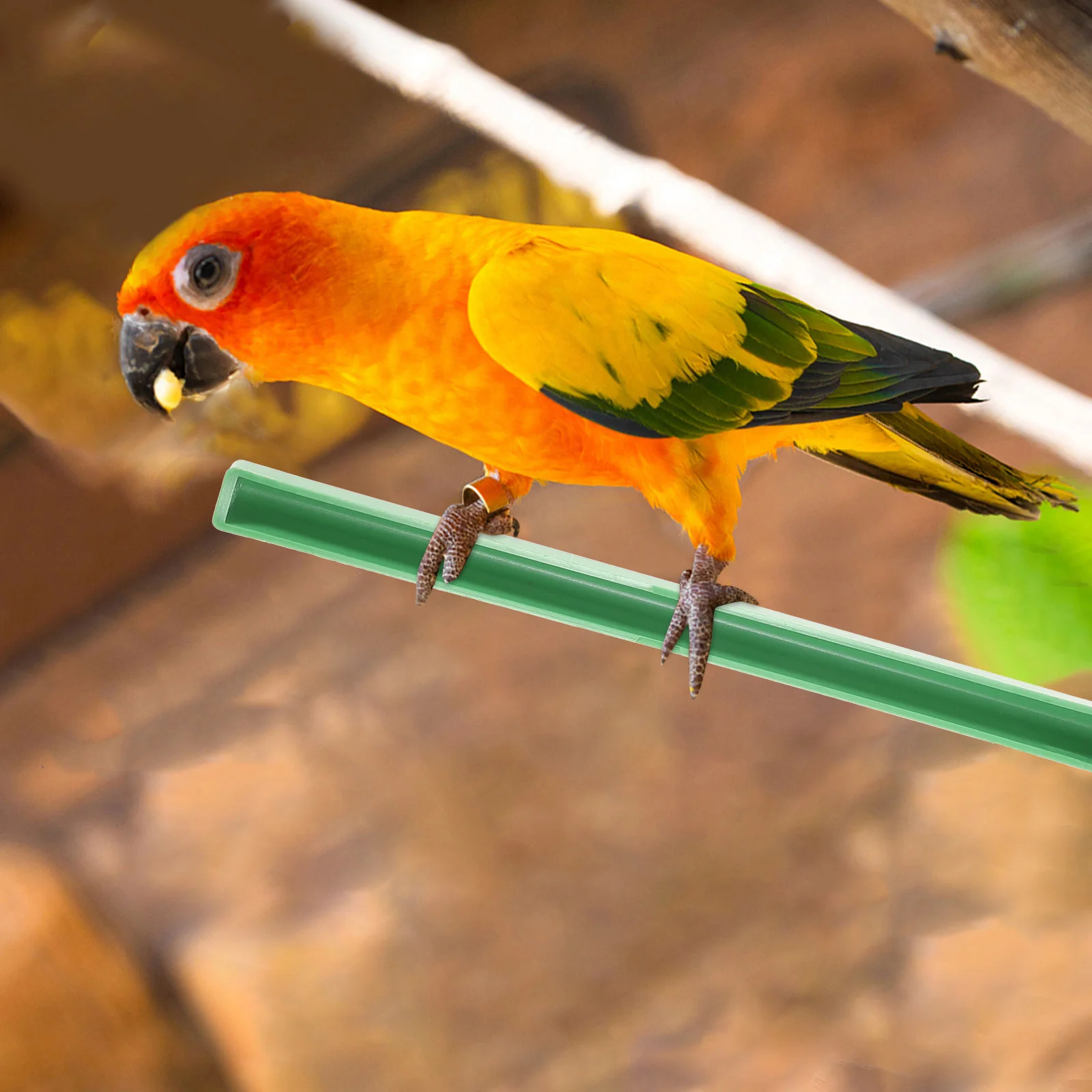 10 Pcs Bird Perch Standing Sticks Parrot Stick Stand Pole Parrot Perch Stands bird cage accessories